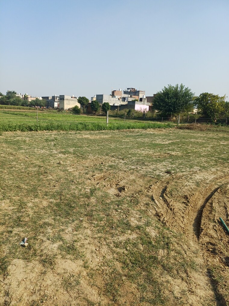 Garden, palla  78 Sq.Yd. Plot In Palla Faridabad 9432280