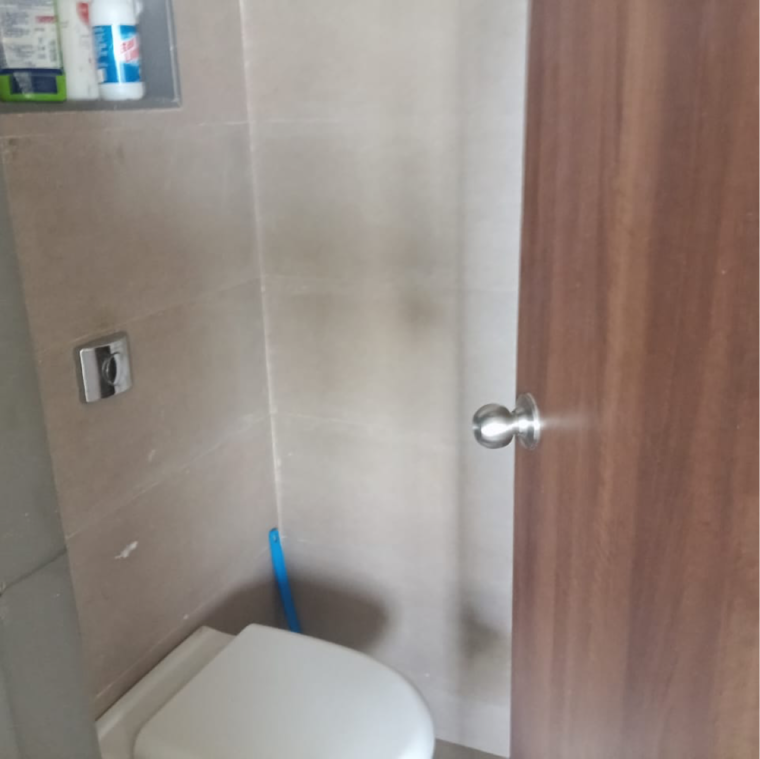 Bathroom, divine-palm-springs 1 Bedroom 450 Sq.Ft. Apartment In Bhagwan Nagar Pune 9432733