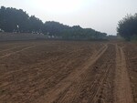 605 Sq.Yd. Land in Sohna Road