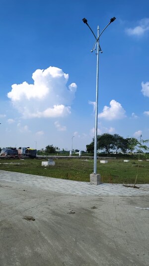 Plot Area in  Plot at Mihan – for Sale