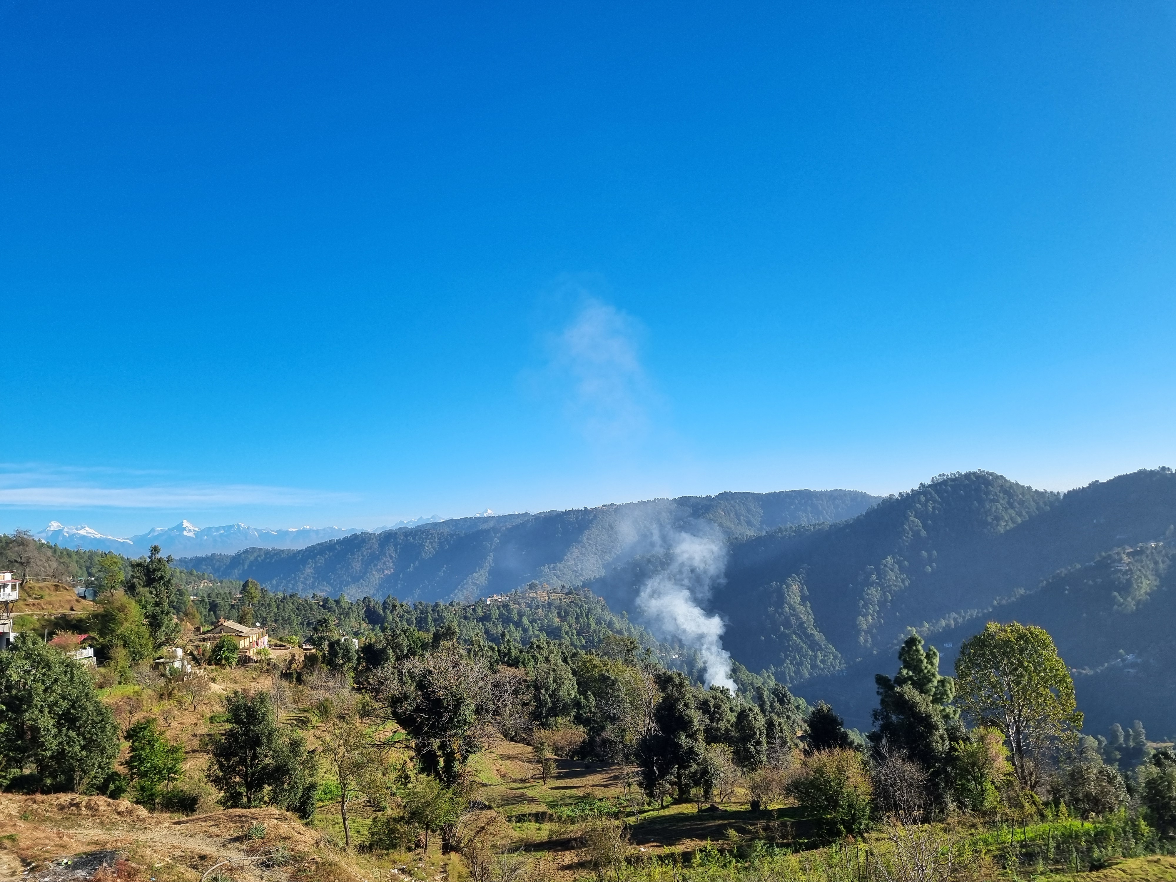 Plot For Sale in Mukteshwar