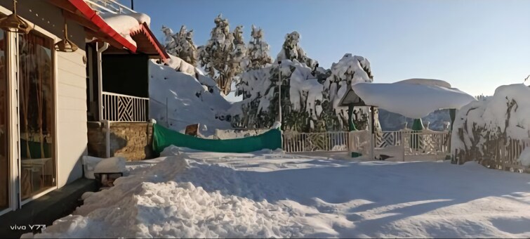 Cover Image, mukteshwar  300 Sq.Yd. Plot In Mukteshwar Nainital 7972096