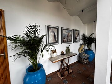  Plot – Exterior View View at Mukteshwar - for Sale