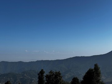 Plot Area in  Plot at Mukteshwar – for Sale