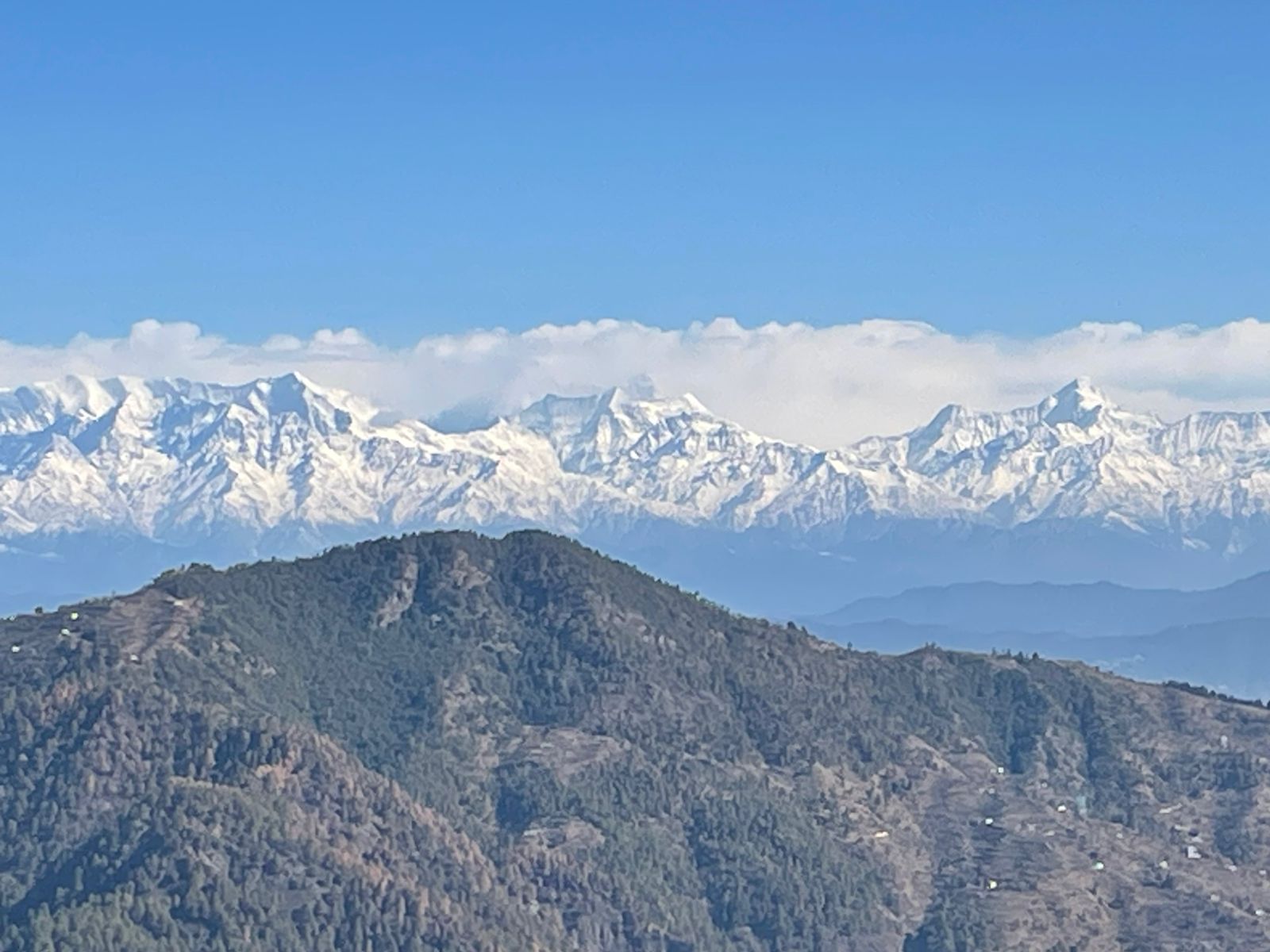 Plot For Sale in Winters Hills 