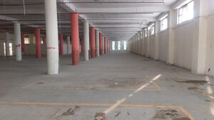  Warehouse For Rent in Anaj Mandi