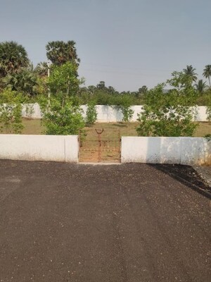  Plot – Exterior View View at Bhogapuram - for Sale