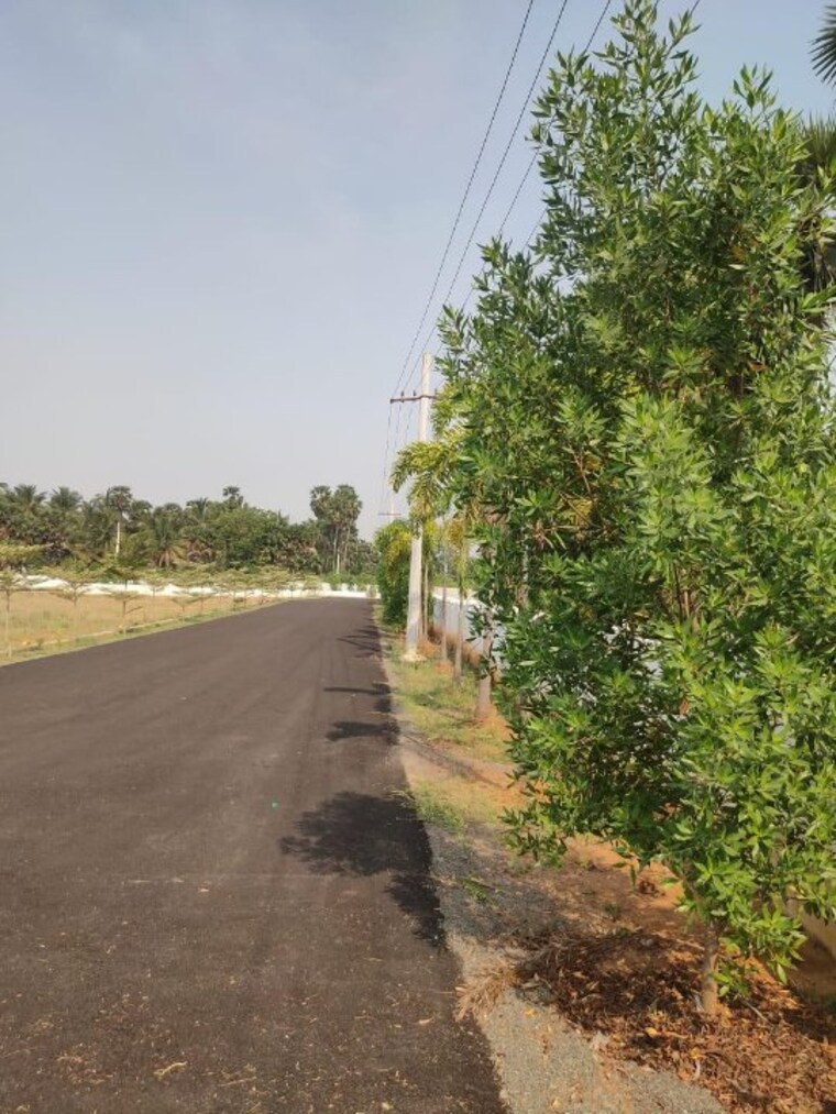 Exterior View, bhogapuram  200 Sq.Yd. Plot In Bhogapuram Vizag 9413608