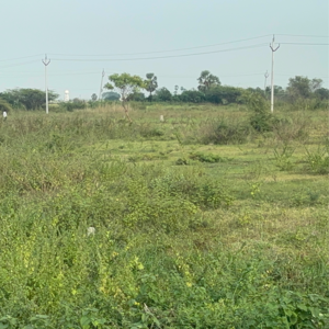 Plot Area in  Land at Durgapuram – for Sale