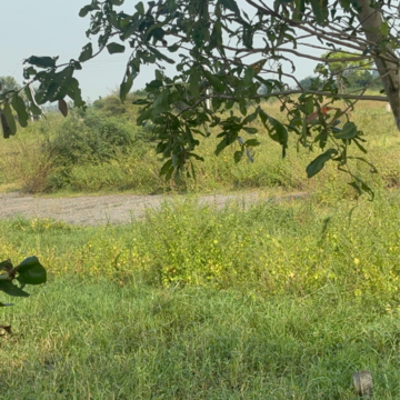 Plot Area in  Land at Durgapuram – for Sale