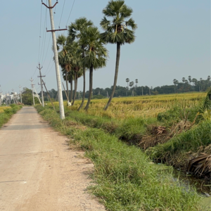 Plot Area in  Land at Durgapuram – for Sale