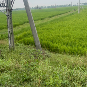 Plot Area in  Land at Vinchipeta – for Sale