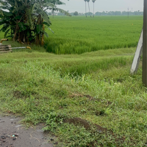 Plot Area in  Land at Vinchipeta – for Sale