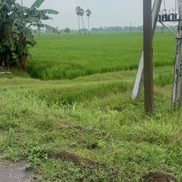 Plot Area in  Land at Vinchipeta – for Sale