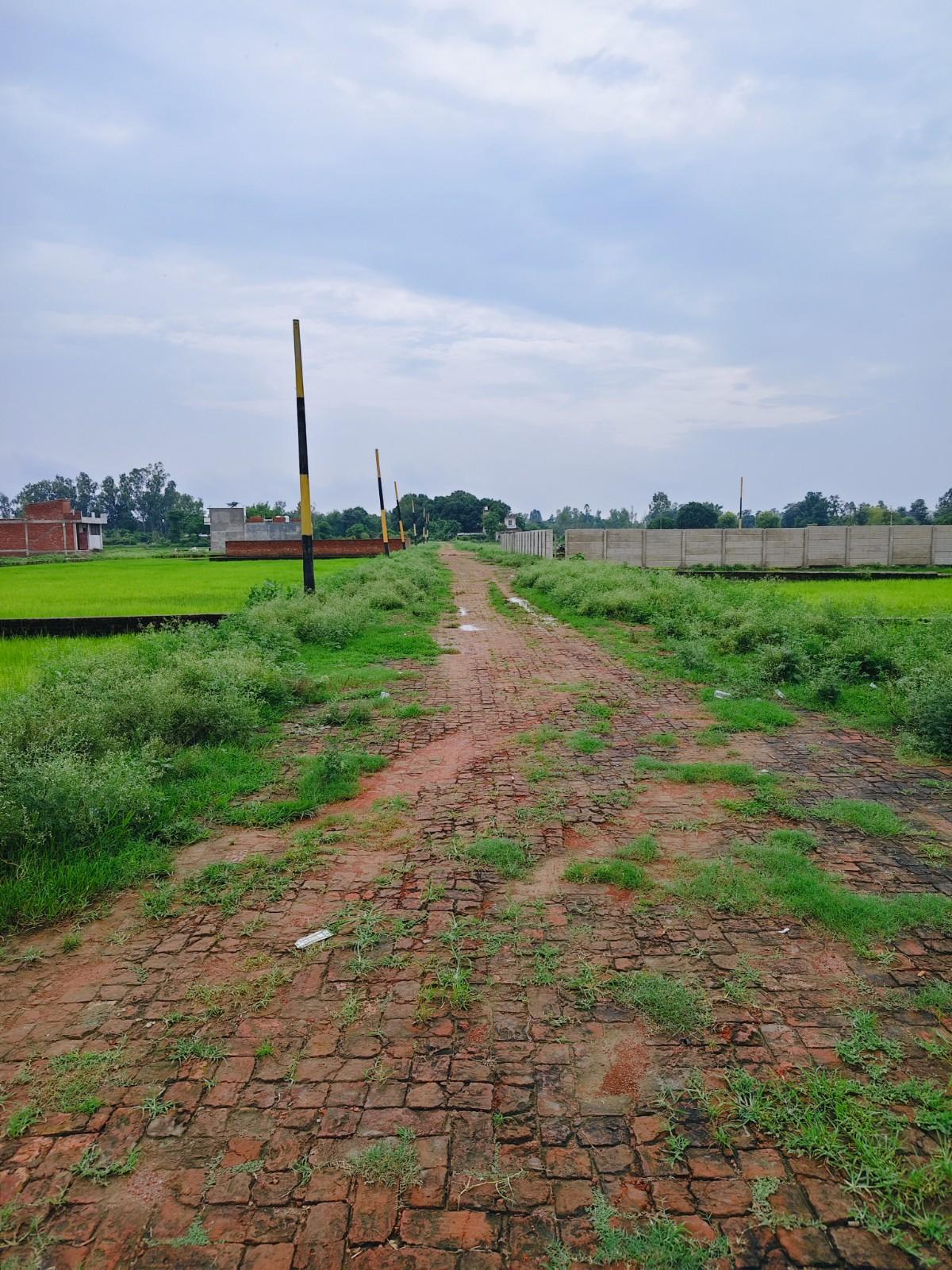 Plot For Sale in Behta Kursi Road Plot 