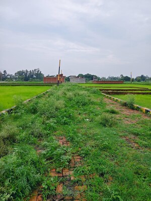  Plot – Garden View at Kursi Road - for Sale