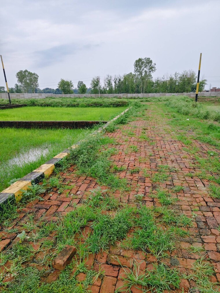 Garden, kursi road  1006 Sq.Ft. Plot In Kursi Road Lucknow 9435212