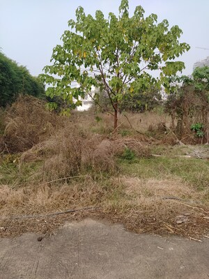  Plot – Exterior View View at Altus Prime, North Mullanpur - for Sale