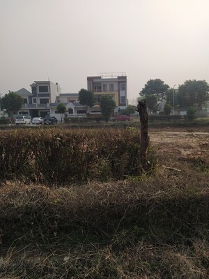  Plot – Exterior View View at Altus Prime, North Mullanpur - for Sale