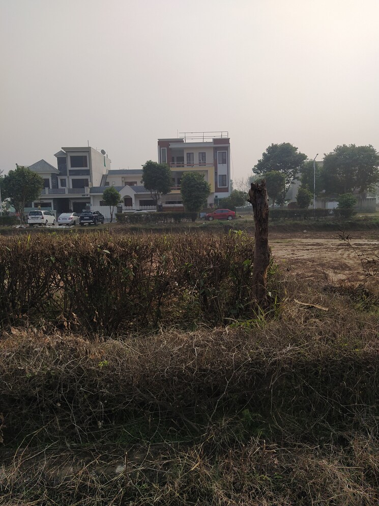 Exterior View, altus-prime  190 Sq.Yd. Plot In North Mullanpur Chandigarh 9435280
