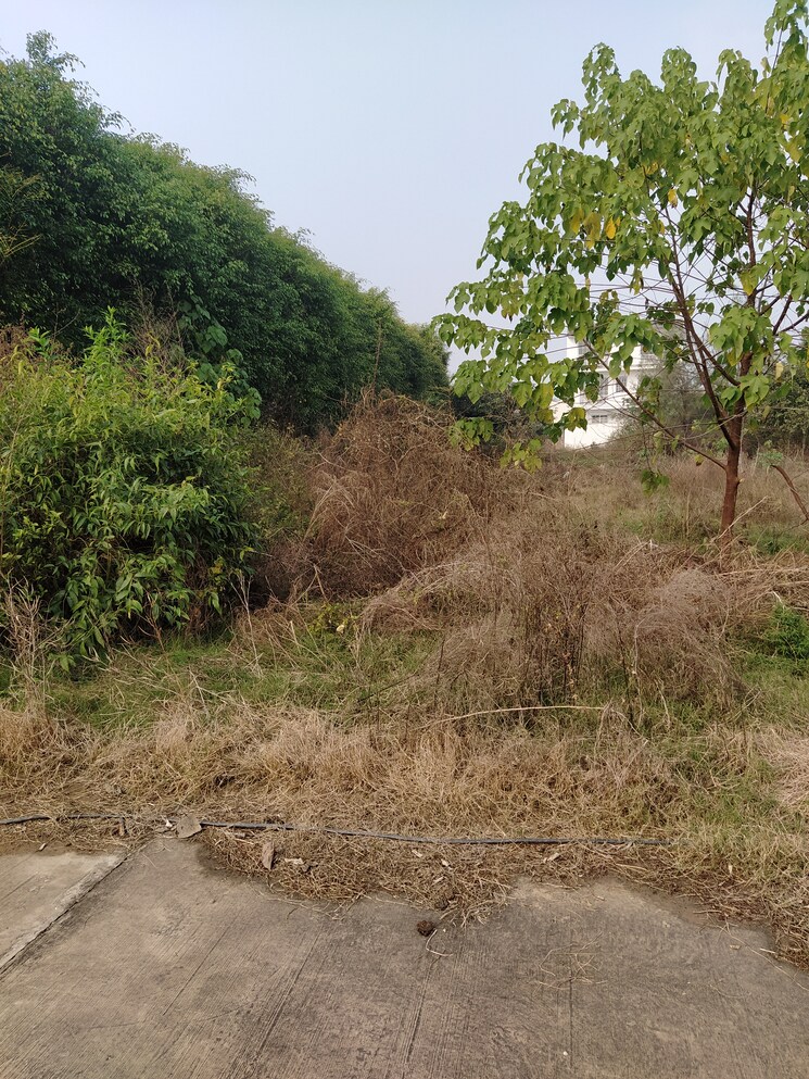 Garden, altus-prime  190 Sq.Yd. Plot In North Mullanpur Chandigarh 9435280