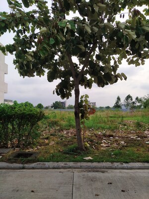  Plot – Garden View at Altus Prime, North Mullanpur - for Sale