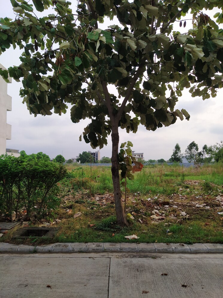 Garden, altus-prime  230 Sq.Yd. Plot In North Mullanpur Chandigarh 9435282