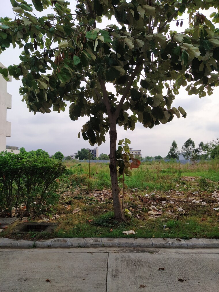 Garden, altus-prime  230 Sq.Yd. Plot In North Mullanpur Chandigarh 9435282