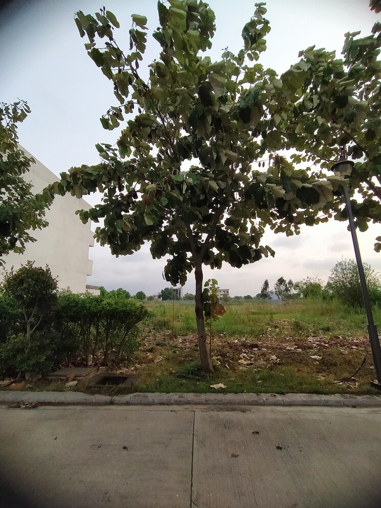 Garden, altus-prime  230 Sq.Yd. Plot In North Mullanpur Chandigarh 9435282