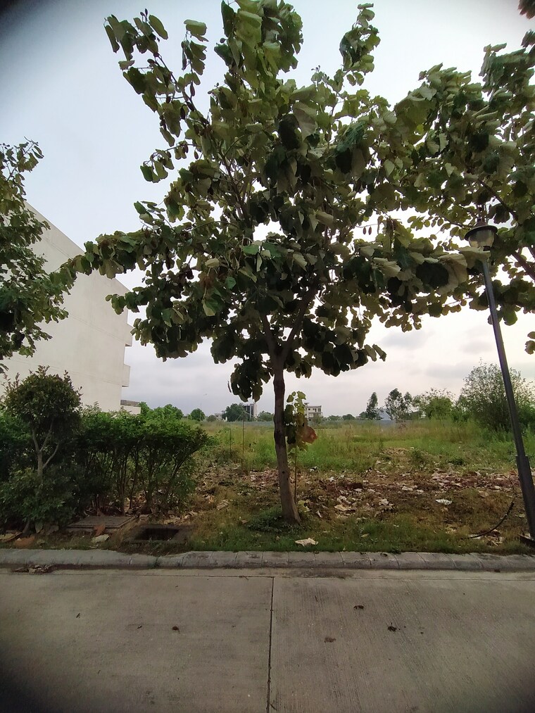 Garden, altus-prime  230 Sq.Yd. Plot In North Mullanpur Chandigarh 9435282