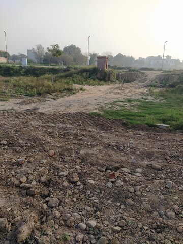 Plot Area in  Plot at Altus Prime, North Mullanpur – for Sale