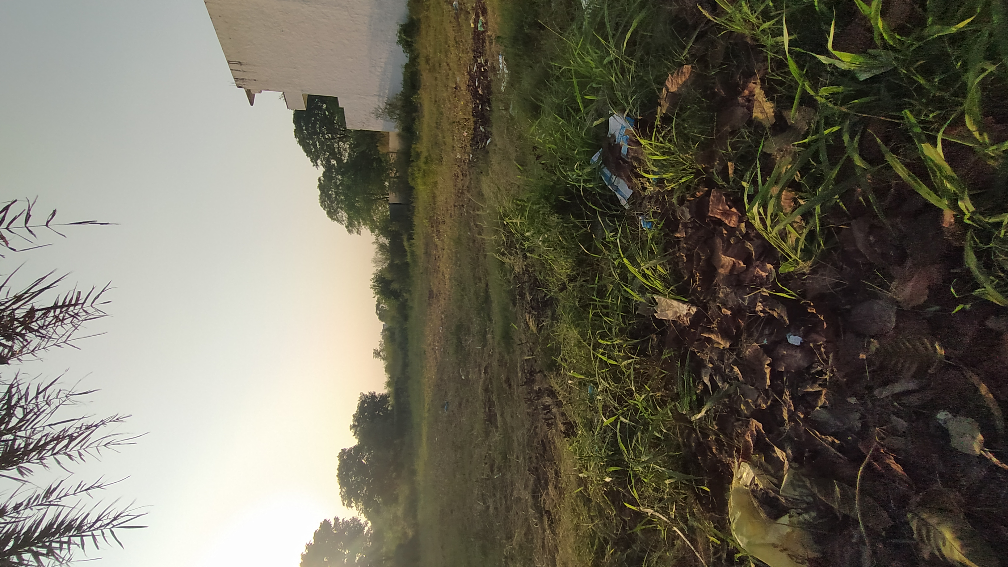 Plot For Sale in Altus Prime