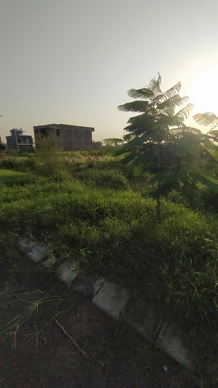 Exterior View, altus-prime  475 Sq.Yd. Plot In North Mullanpur Chandigarh 9435285