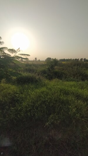  Plot – Garden View at Altus Prime, North Mullanpur - for Sale