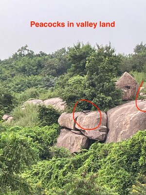  Plot For Sale in Banjara Hills