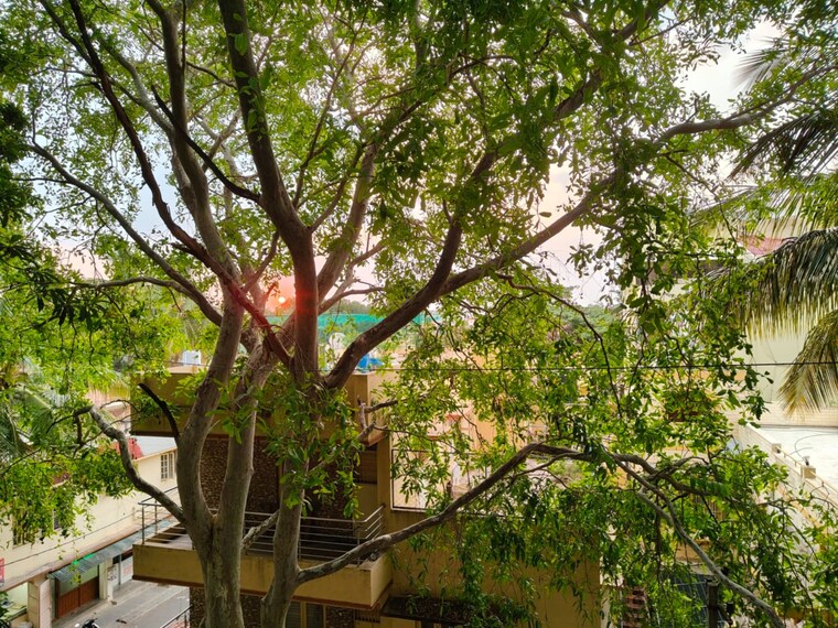 Exterior View, kathriguppe 3 Bedroom 2100 Sq.Ft. Apartment In Kathriguppe Bangalore 9435443