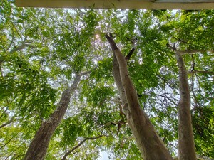 3 BHK Apartment – Exterior View View at Kathriguppe - for Sale