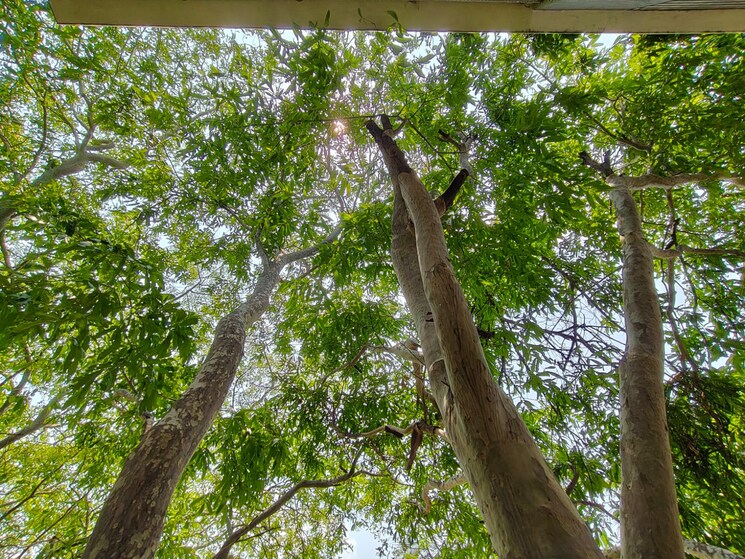 Exterior View, kathriguppe 3 Bedroom 2100 Sq.Ft. Apartment In Kathriguppe Bangalore 9435443