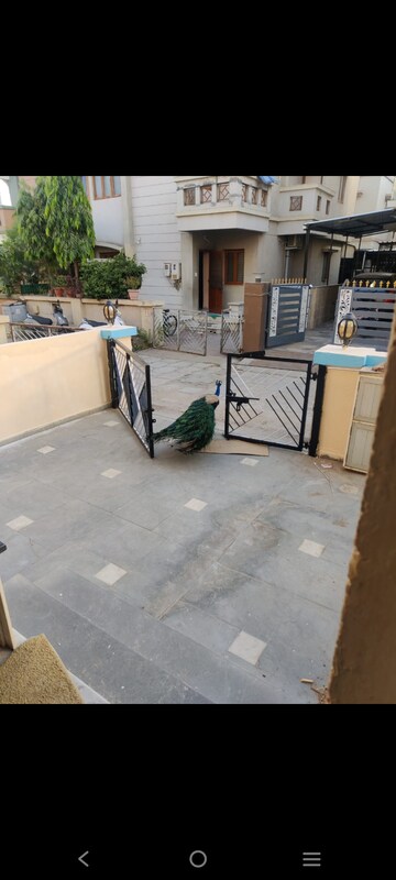 3 BHK Villa For Rent in Preksha Keshav Bunglows, Chandkheda