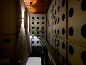 Kitchen in 4 BHK Builder Floor at Vasant Vihar – for Rent