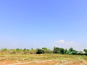 Plot Area in  Plot at Sherpur – for Sale