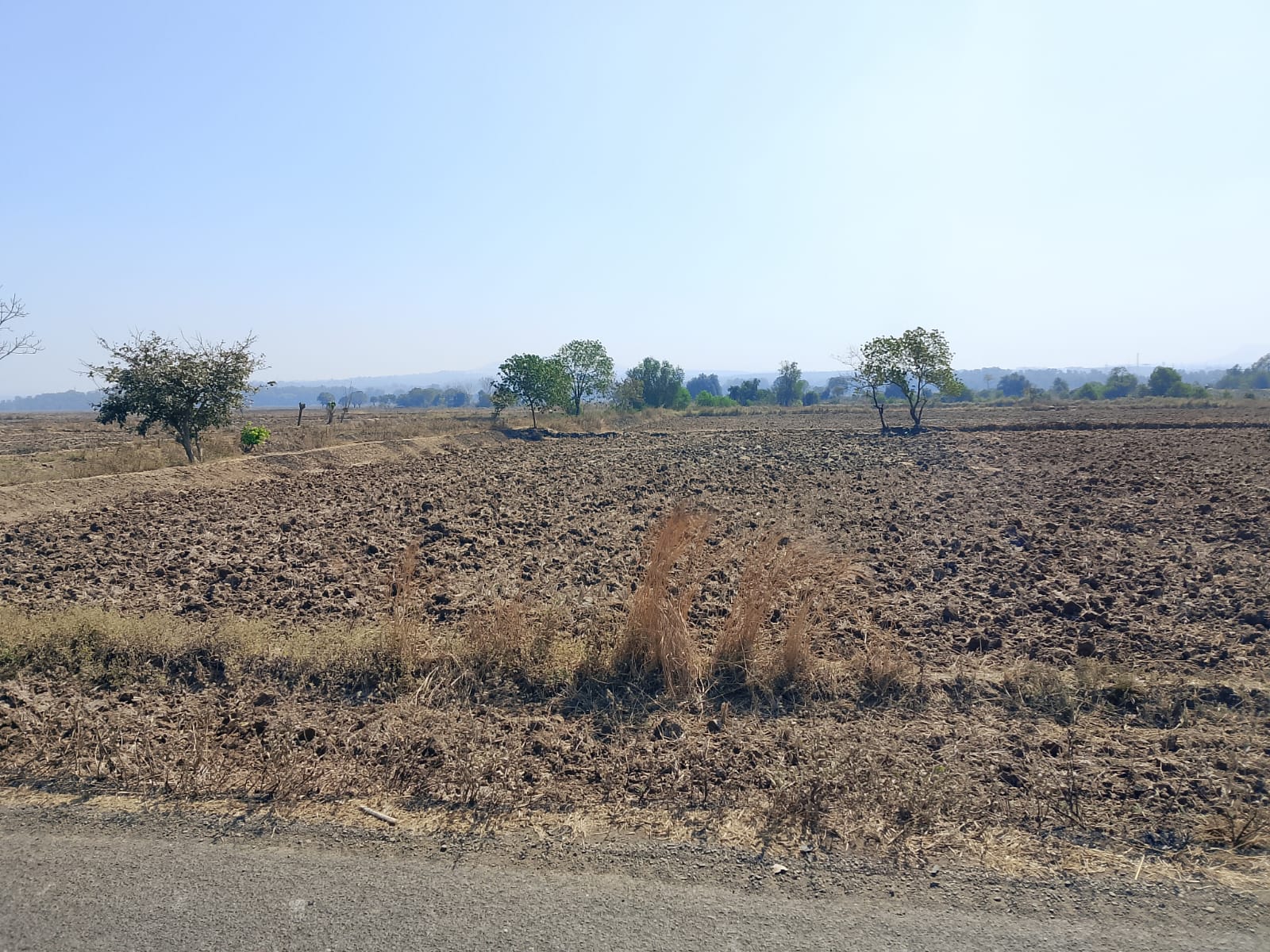 Land For Sale in Commercial Plot 