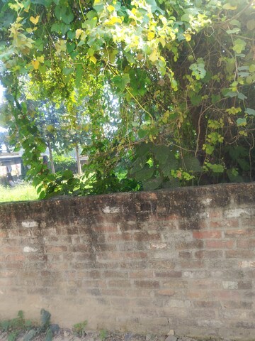  Plot – Garden View at Malhour - for Sale