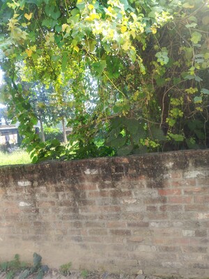  Plot – Garden View at Gomti Nagar - for Sale