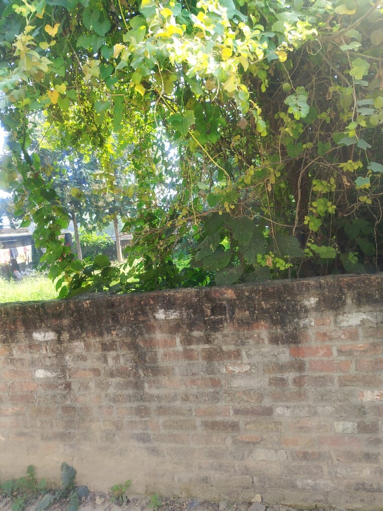 Garden, gomti nagar  2100 Sq.Ft. Plot In Gomti Nagar Lucknow 9435770