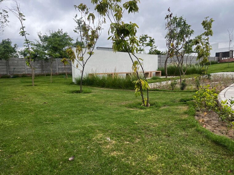 Exterior View, sonipat road  113 Sq.Yd. Plot In Sonipat Road Sonipat 9435998