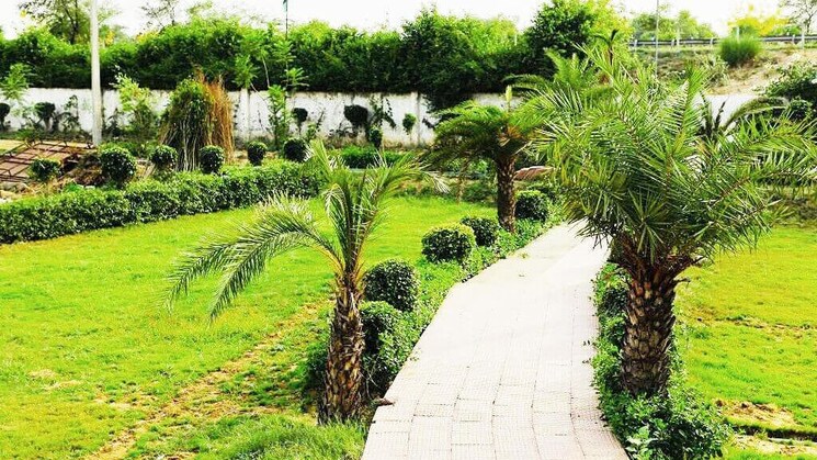 Garden, tappal  200 Sq.Yd. Plot In Tappal Aligarh 9435978