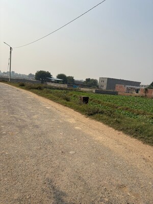 Plot Area in  Land at Mant – for Sale