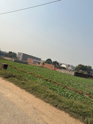 Plot Area in  Land at Mant – for Sale