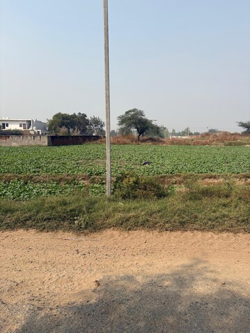 Plot Area in  Land at Mant – for Sale